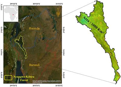 Exploring the landscape pattern change analysis for the transboundary Nyungwe-Kibira Forest (2000–2019): a spatially explicit assessment